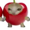 simonjushome