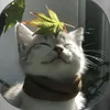 nwaylwin152024