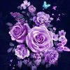 roxy872902