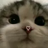 tengtengteng_t
