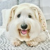 coton.chouppie.co