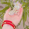 asma.doll958