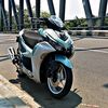 rr.rexblue