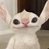 the_other_animator