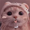 thanhtu06042004