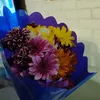 melissaestefanyy.p