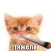 bebrochka.1212