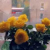 farhanasaeed295