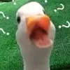 oanh_19820