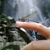 .peyarani