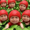 dimas_betz