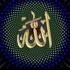 mouhamed.khaled94