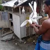mdiodaluegagie