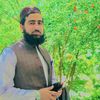 aminhaqqani1