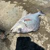 brendan_fishing1