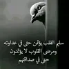 user9239830287863