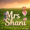 shanishani3174