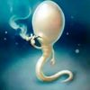 overh4ul_rr