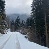 tugba_kr97
