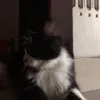 jklmngyu