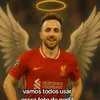 anaterciaoliveira
