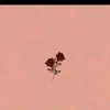 ysra_669