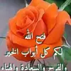 8617025588383abdeljalil