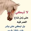 useraqpdaf37bu