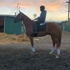 uncaballo96