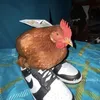 queijodepao3