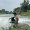 vithong_2023