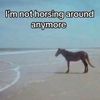 bojackmanhorse0