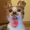 nannzxyy_11