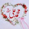 muhammadalisaddique1212
