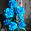 user940581823495