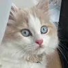userbqyn2vrd9g