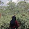 ahmarima