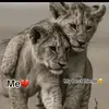 yasir_mullagan42