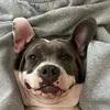 biascosenz