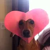 maueyso