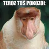 mjakmaciej87