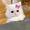 missmariya_1