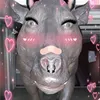 felix_lodge