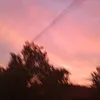 trytowrs_