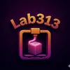 Lab313
