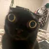 ndwwam