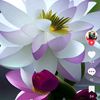user1680804730798