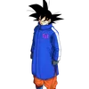 kakarot_n22