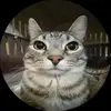 acadicaa2.0
