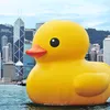 that_one_chill_duck